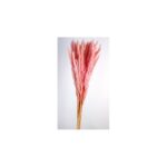 POMO PLUMA DECORATIVA 50/60CM - Imagen 2