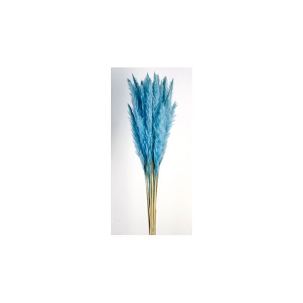 POMO PLUMA DECORATIVA 50/60CM - Imagen 3