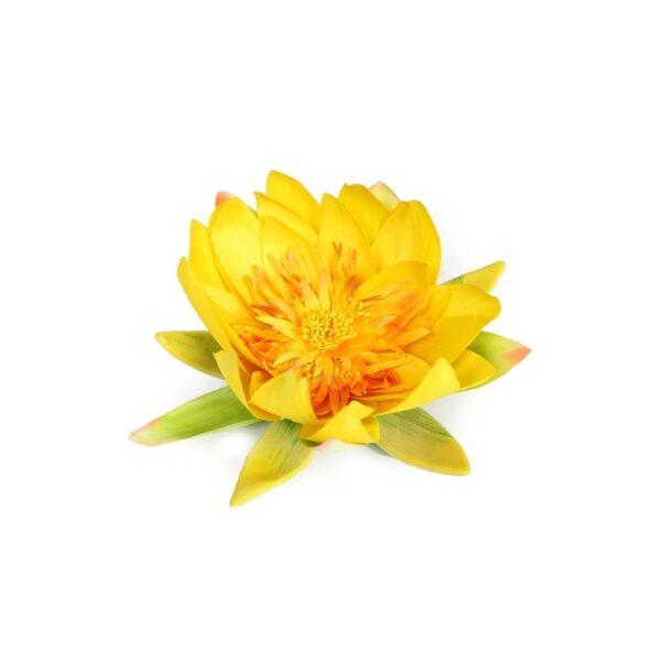 LOTUS FLOTANTE Ø 20CM - Imagen 1