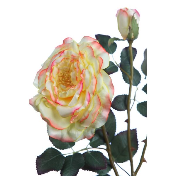 VARA ROSA FRENCH 82CM - Imagen 2