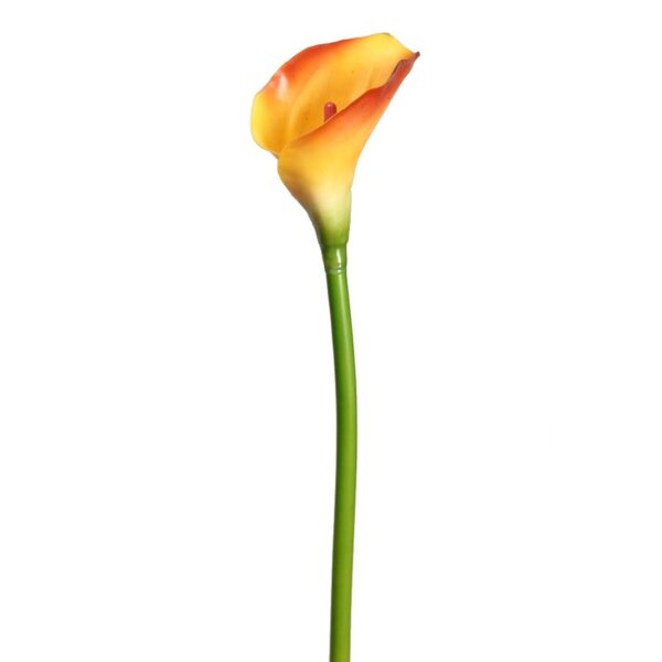 CALA DE LATEX 70 CM - Imagen 2