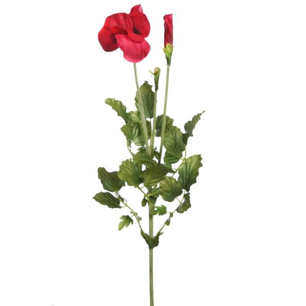 40678_0 VARA PENSAMIENTO 65CM - Imagen 1