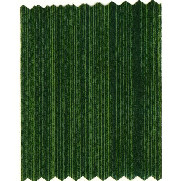 CINTA ASPIDISTRA 10CM X 50M - Imagen 1