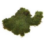 MUSGO PLANO PRESERVADO, CAJA 2,5KG