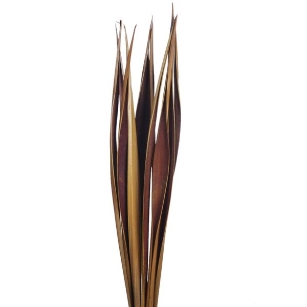 COCA BAHIA VERDE 72CM - Imagen 2