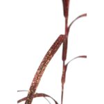 VARA RAMAJE NAVIDAD 140CM - Imagen 2