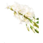 VARA JACINTO ARTIFICIAL 58CM - Imagen 2