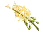 VARA JACINTO ARTIFICIAL 58CM - Imagen 4