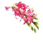 VARA JACINTO ARTIFICIAL 58CM - Imagen 6