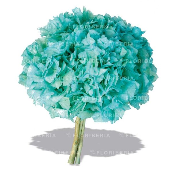 HORTENSIA PRESERVADA - Imagen 5