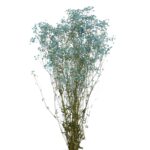 GYPSOPHILA PANICULATA PRESERVADA 100GR, ALT 60CM - Imagen 4