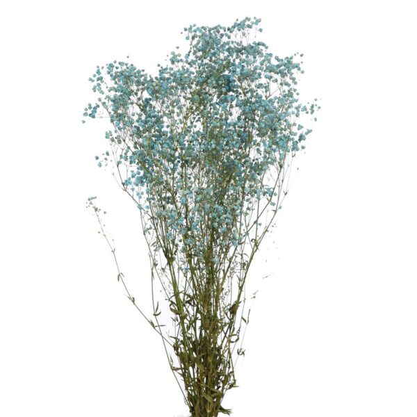 GYPSOPHILA PANICULATA PRESERVADA 100GR, ALT 60CM - Imagen 4