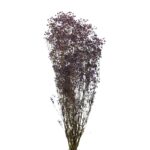 GYPSOPHILA PANICULATA PRESERVADA 100GR, ALT 60CM - Imagen 5