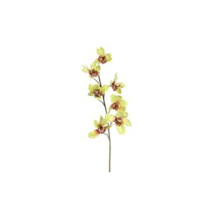 VARA ORQUIDEA BRILLO 70CM