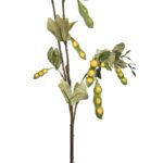 VARA GUISANTES - Imagen 2