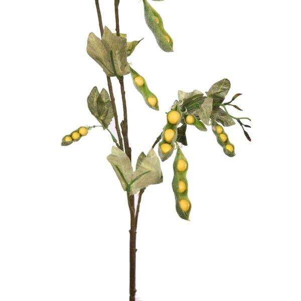 VARA GUISANTES - Imagen 2