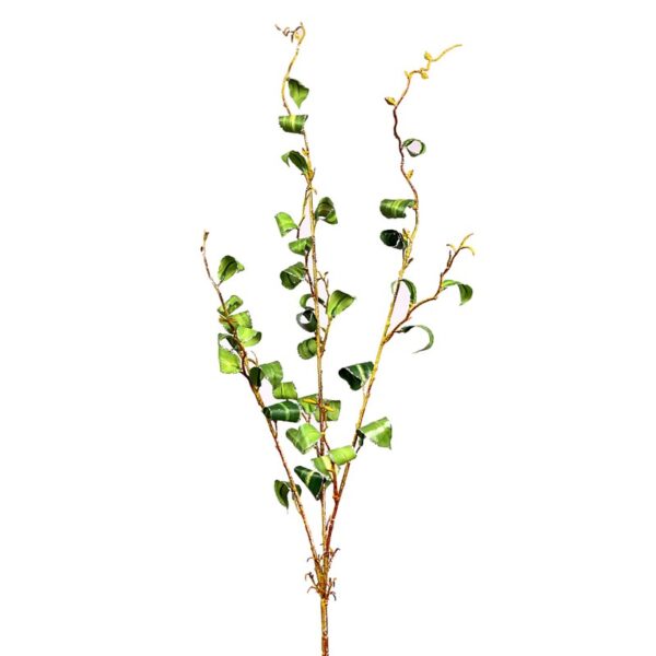 450638_0 RAMA FICUS FILO PLATA 94CM - Imagen 1