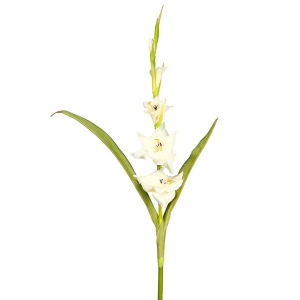 VARA GLADIOLO TACTO NATURAL 109 CM - Imagen 1