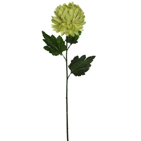 VARA MUN 70CM - Imagen 3