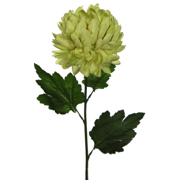 VARA MUN 70CM - Imagen 4