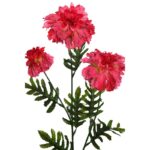 VARA MARIGOLD 60CM - Imagen 2