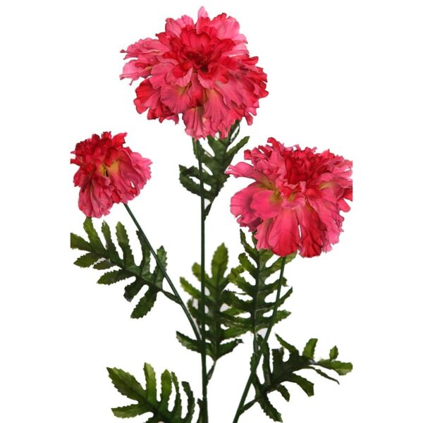 VARA MARIGOLD 60CM - Imagen 2