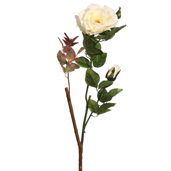VARA ROSA WILD 65CM - Imagen 1