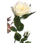 VARA ROSA WILD 65CM - Imagen 2