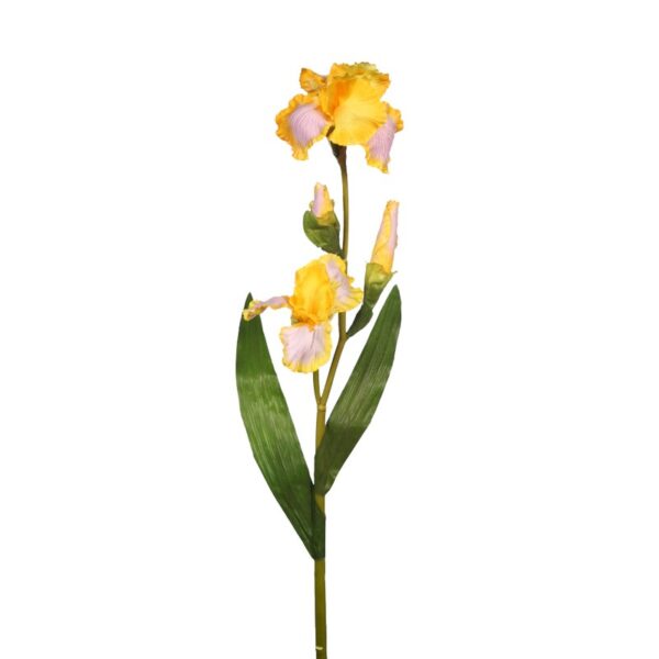 IRIS SPRAY X 2 VARA - Imagen 1