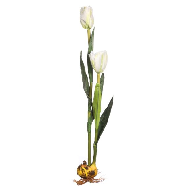 VARA TULIPAN 60CM - Imagen 1
