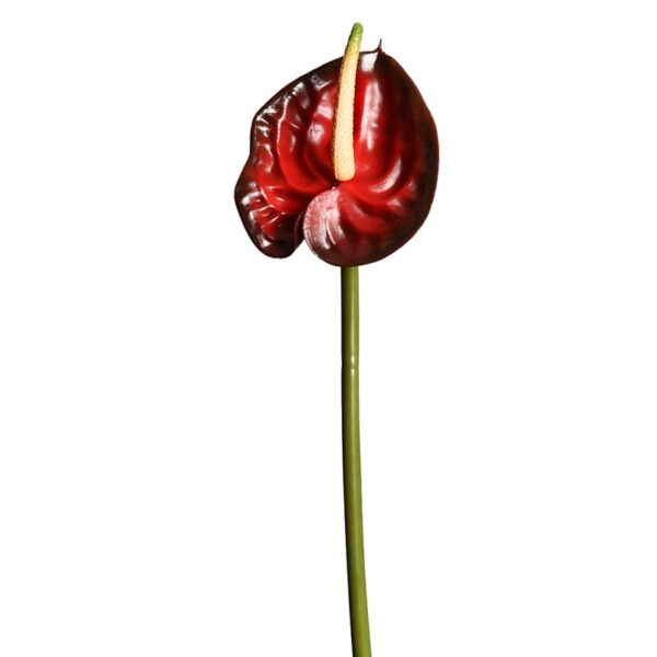 ANTURIO, VARA 45 CM - Imagen 1