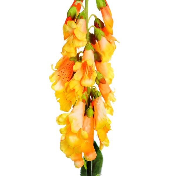 VARA GLOSINIA 125CM - Imagen 2