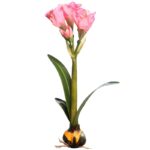 VARA AMARILIS CON BULBO 62CM