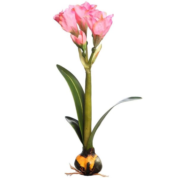 51754.06_0 VARA AMARILIS CON BULBO 62CM - Imagen 1