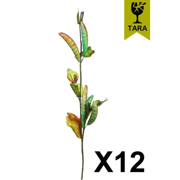 5509_0 SET 12 VARAS GUISANTES - Imagen 1