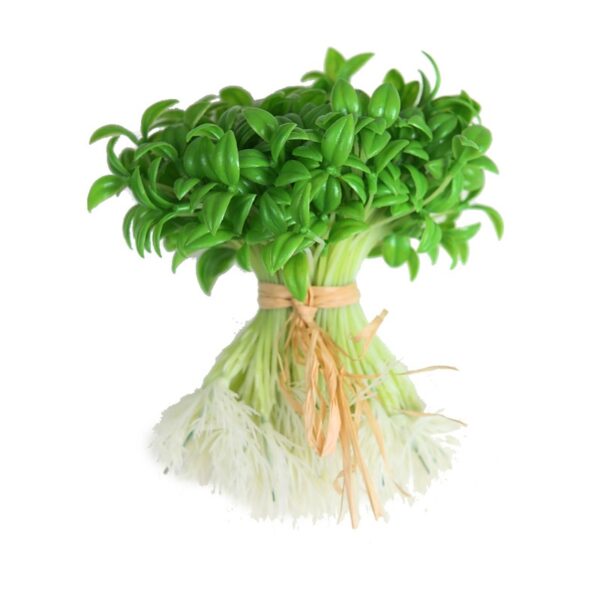 56364_0 MANOJO CON RAICES ARTIFICIAL 15CM - Imagen 1