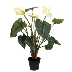 PLANTA ANTURIO 44CM EN MACETA