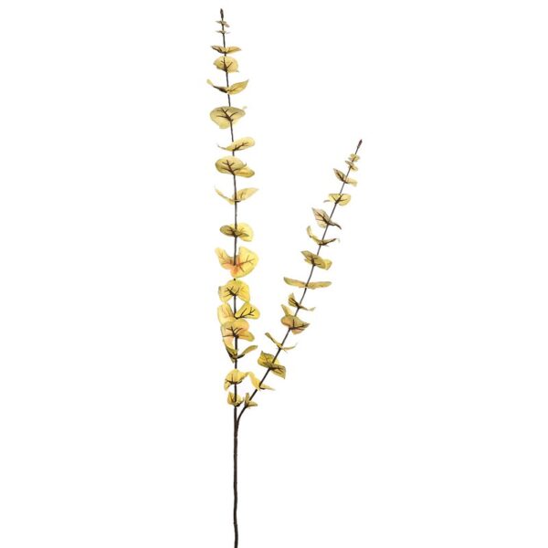 VARA EUCALYPTUS 95CM - Imagen 1