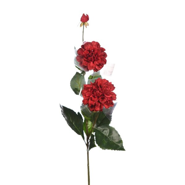 DALIA TACTO NATURAL X2, 79CM - Imagen 1