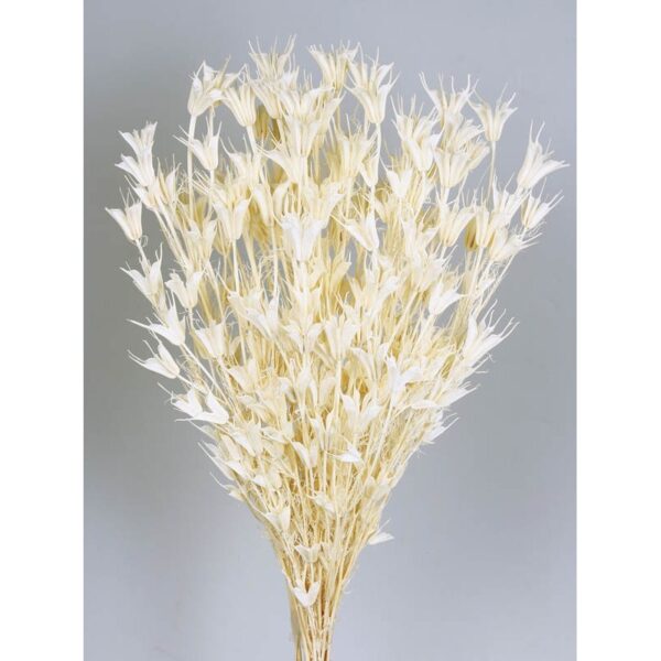 591.00_0 POMO NIGELLA ORIENTALIS 50CM - Imagen 1