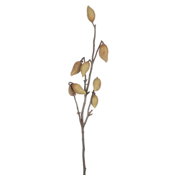 LARGE FRUIT,VARA - Imagen 1