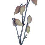 LARGE FRUIT,VARA - Imagen 2