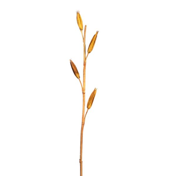 VARA LILY BUDS 100CM - Imagen 1