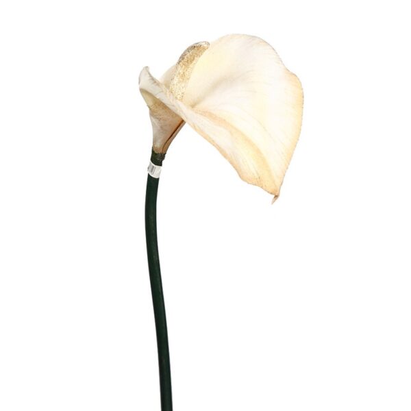 60418.01_0 CALA LILI GIGANTE 115CM - Imagen 1