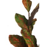 HOJA DE MAGNOLIA FILO DORADO ARTIFICIAL 90CM - Imagen 2