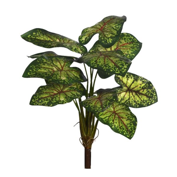 PLANTA CALADIUM 51CM - Imagen 1