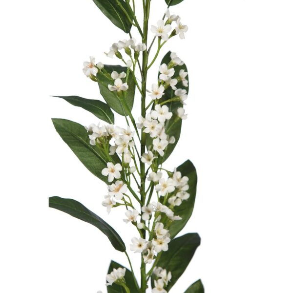 VARA EUPHORBIA 105 CM - Imagen 2