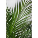 PALMERA ARTIFICIAL CON MACETA 120CM - Imagen 3