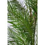 PALMERA CON MACETA ARTIFICIAL 170CM - Imagen 3