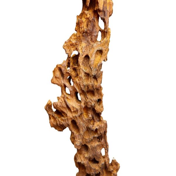 TRONCO FOSIL CON BASE 91CM - Imagen 2